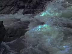 한순간만 영롱할 뿐인 신기루를 맹신하지 마세요.