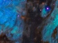 가스펠 라니야 스칼