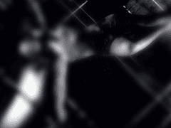 [리들해리/무제2부] 31.무죄