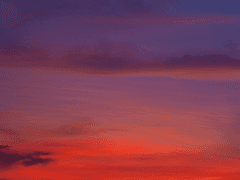 새벽은 아침을 기다린다