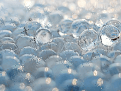 아야라 여성 불명 앙원