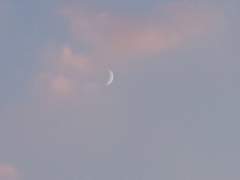 아이코! 또 실수해버렸다구요...!?