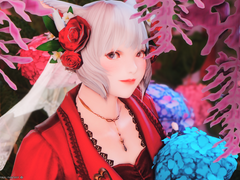 빛의 전사 프로필 (드림주) / 수정중