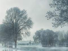 미움은 사람을 맹목으로 만든다.