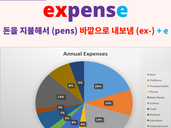 expense, expensive