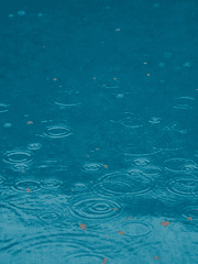 너의 존재를 내게 알려줘