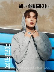 해와 해바라기의 상관 관계