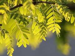 우전커 • 공개 프로필