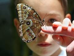 그의 마리오네트