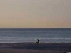 자본주의와 여름 (3)