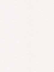 땅이 흔들리는 순간