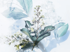 합용 드림주 외관 그림 최종 수정