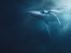 여러분 여러분 여러분 데드벨리 예고 봤어요?