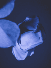 Jasny : 영원과 나의 비화록