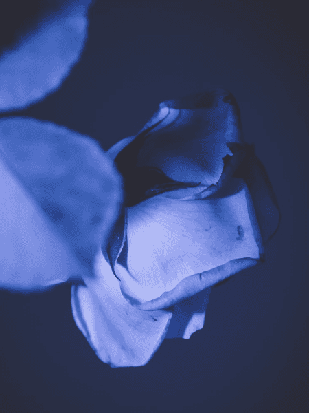 Then till the Ending…