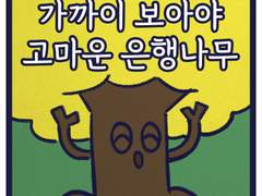 가까이 보아야 고마운 은행나무