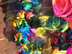 [고죠유지] 재회의 약속(1)