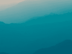 공지 아닌 공지 맞은 공지에요