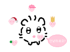 『오놀』이란...무엇인가