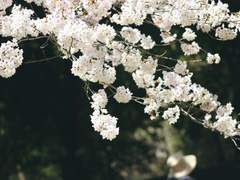 천축이 도만 애인을 두면 힘들어진다 (샘플)