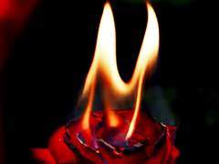 센티넬가이드 07