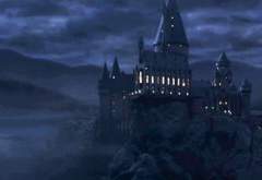 (켄쏜)1.고양이의 인지적 발달능력