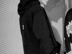 스파이 센티넬 3