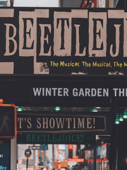 보고서 (88 외전)