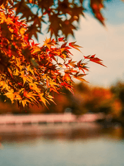 슬램덩크(단편)