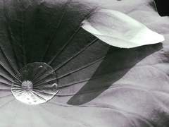 四 . 柔軟不澁(유연불삽)(5)