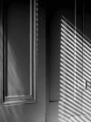 인형 상자 안에서