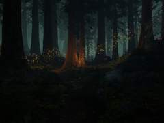 제 1화. 회상의 여정(上)