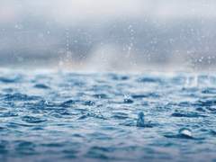 흘러 들어온 당신의 이야기