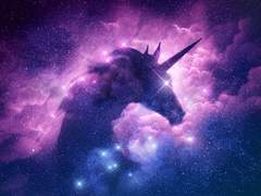 What are you dreaming about?