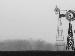 세상은 미친듯이 고요했다. 그의 세상 또한.