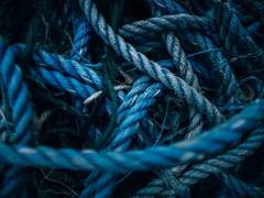 [아이사 파톰/25살/XX/센티넬/S]