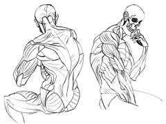 2023년 2월 4일 (토) <해부학>