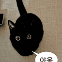 요즘잘자차냥이