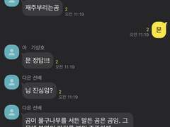 갑타 드림 카피페 3