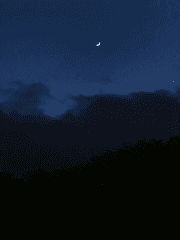 우리들의 시나리오