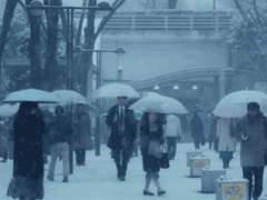 겨울과 코타츠(끝)