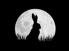 연애학개론 Season 3 - Day 13