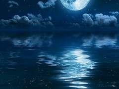 [니아엔틸] 실명, 상실, 환영