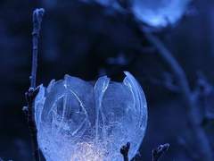 찬졸커 시온 블레이크 과거