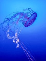 나를 불안하게 하는 사소하지만 강한 것들 