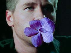 Dr. 몽고메리와 Black Orchid 잡담