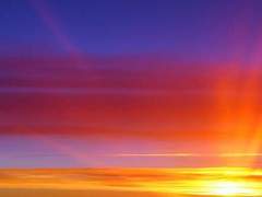 화산귀환_청당_[부름]