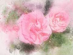 당신의 사랑이 나를 행복하게 합니다.