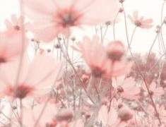 잘가, 좋은 아침이야.