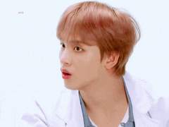 한입 하숙집에서 생긴 일 12